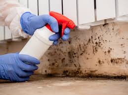 Best Biohazard Mold Removal  in Vandenberg Village, CA